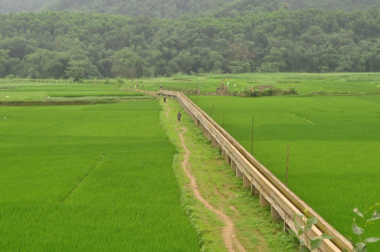 Lịch lấy nước gieo cấy lúa vụ Đông Xuân 2019 - 2020